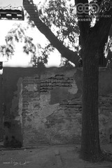 JC2007-2892BW