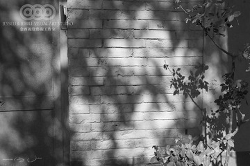 JC2007-2818BW