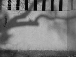 IMG_8169BW