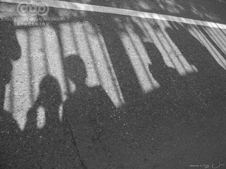 IMG_1674BW