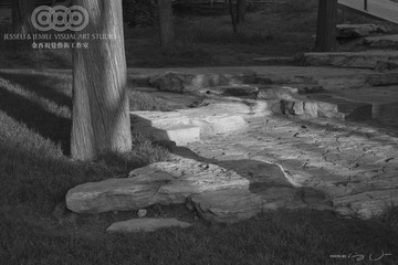 _MG_4251BW