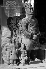 _MG_4196BW