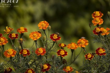 029