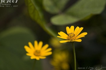 020