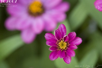 019