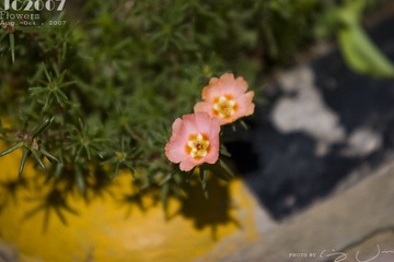 015