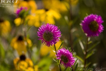014