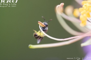 027