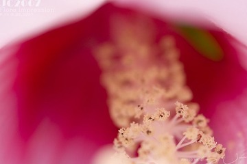 028