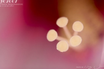 027