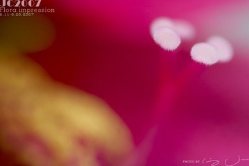 026