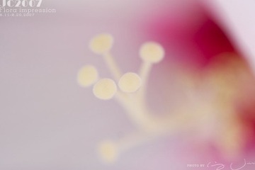025