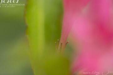024