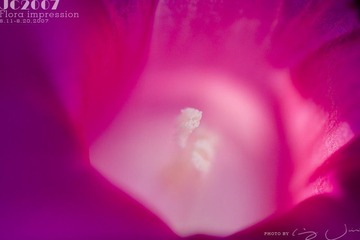 023