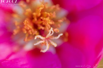 022