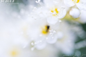 019
