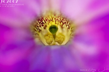 016