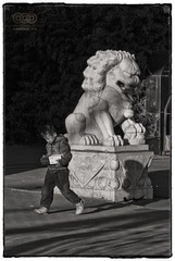 _MG_5069.jpg
