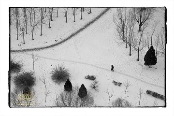 _MG_6237.jpg