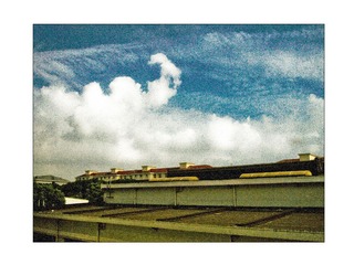 大学