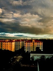 P10907951.jpg