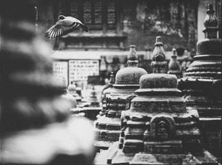 film-281-Edit-2.jpg