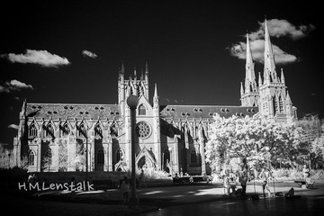 L1110423.JPG