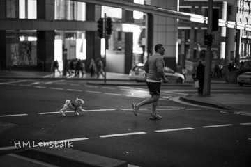 L1128514.JPG