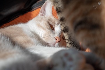 12210