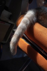 12216