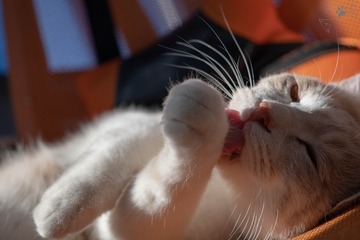 12223