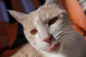 12224