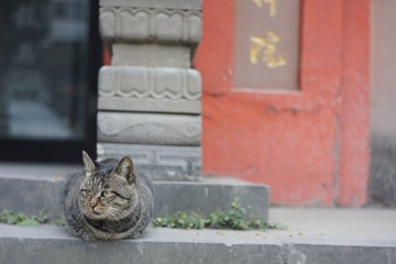 DSC03345.JPG