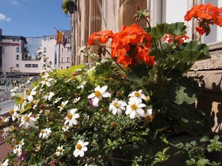 一个人的旅行——Thionville 3