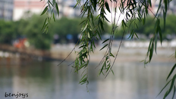 这个焦外 怎么看好坏