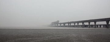 _MG_7905.JPG