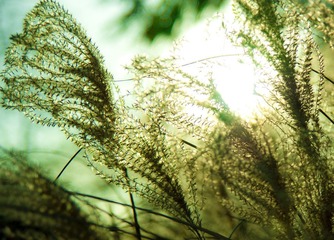 _IGP9009.jpg