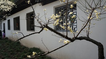 DSC00030.JPG