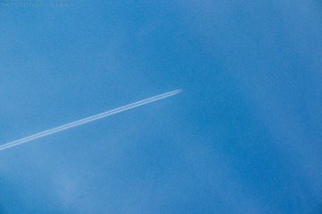 DSC02598-1.jpg