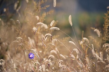 DSC_7484.jpg