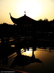 IMG_8512.jpg