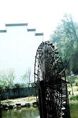 98640012.JPG