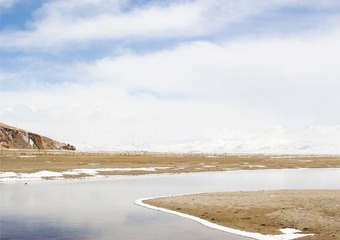 IMG_8574.JPG