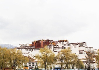 IMG_8706.JPG