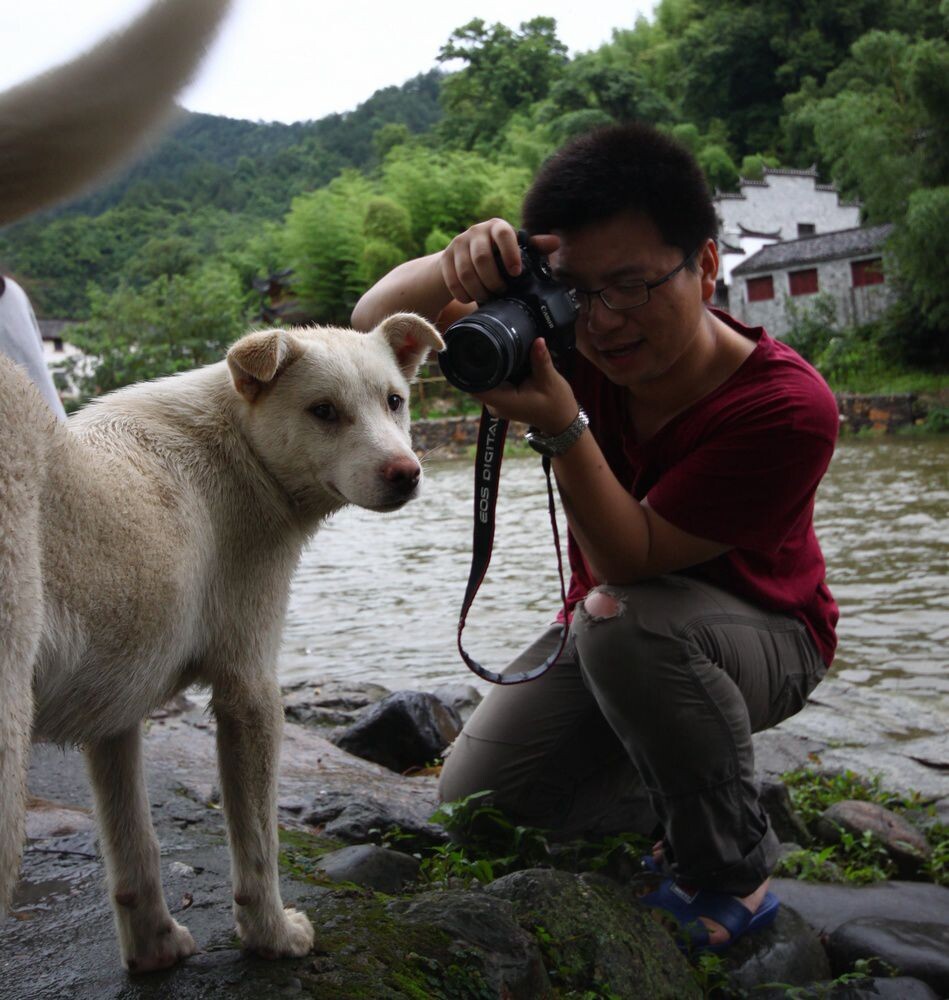 IMG_0884-大牌狗<br />

