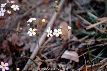 DSC_0507.jpg