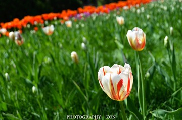 DSC_0569.jpg