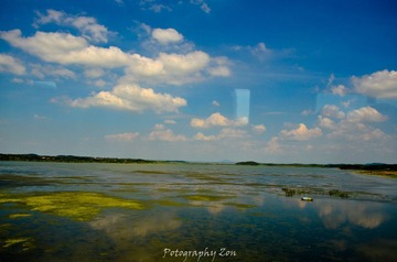 DSC_0970.jpg