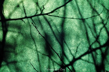 DSC_0039-2