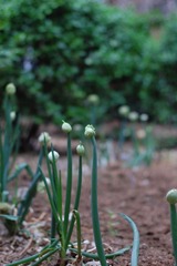 DSC_9579.JPG